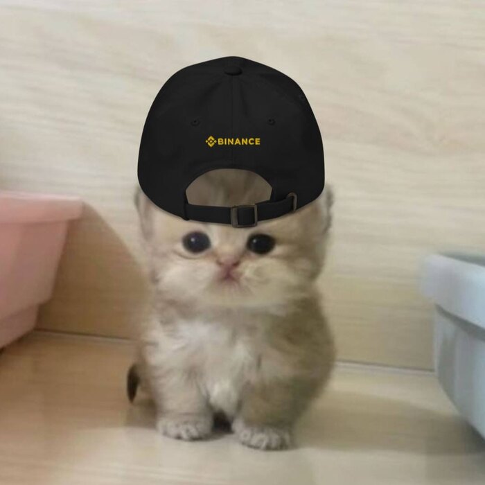 Mao Mao in a Binance cap