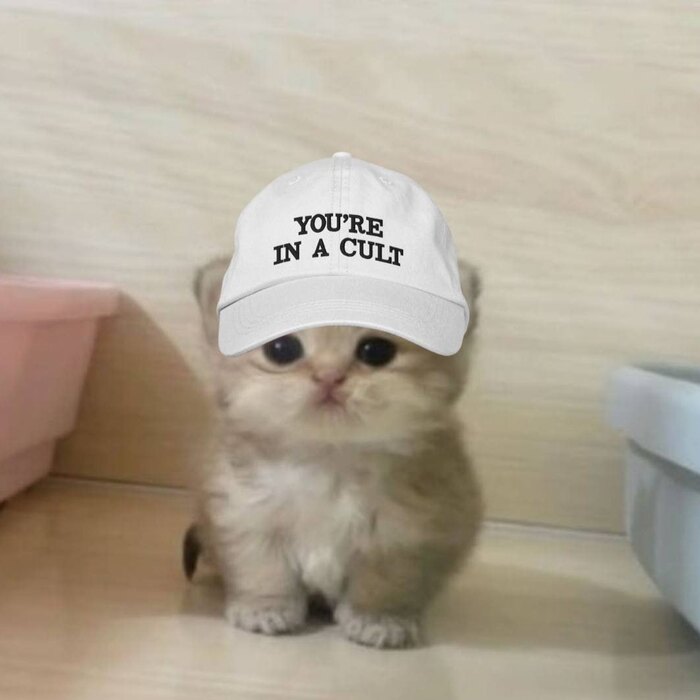 Mao Mao in a YOU'RE IN A CULT cap