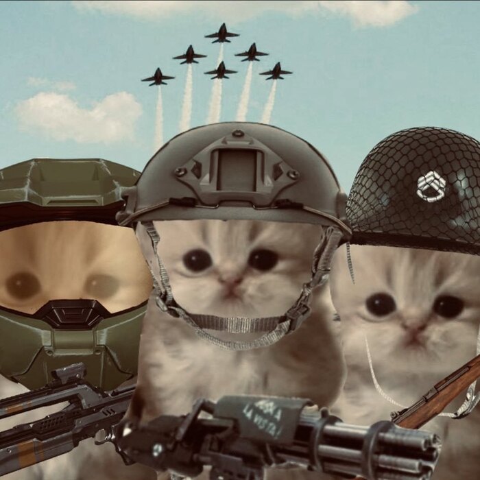 Mao Mao squad in helmets